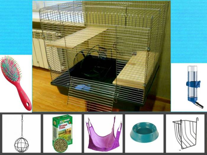 Клетка для шиншиллы: требования, пошаговая инструкция по изготовлению