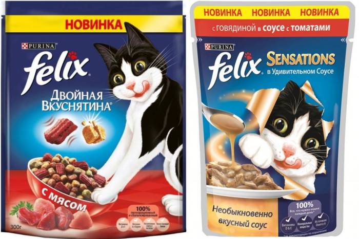 Корма для кошек эконом класса: список самых дешевых и рейтинг лучших