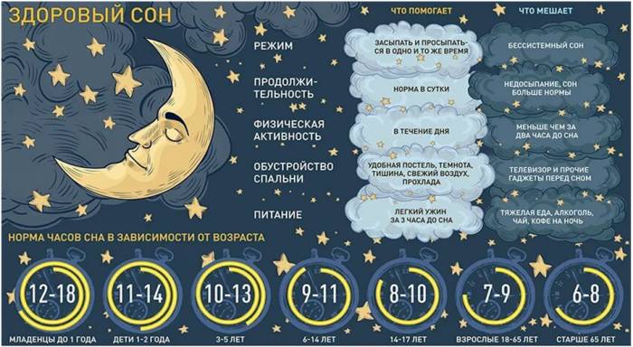 Как спят шиншиллы