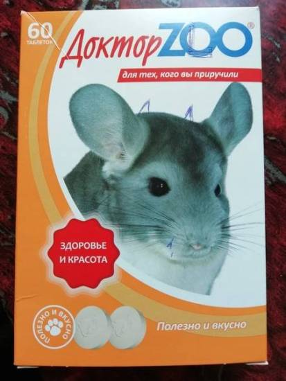 Как и чем кормить шиншиллу