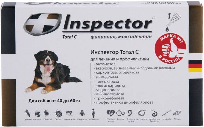 Способ применения капель инспектор для кошки: дозировка и противопоказания