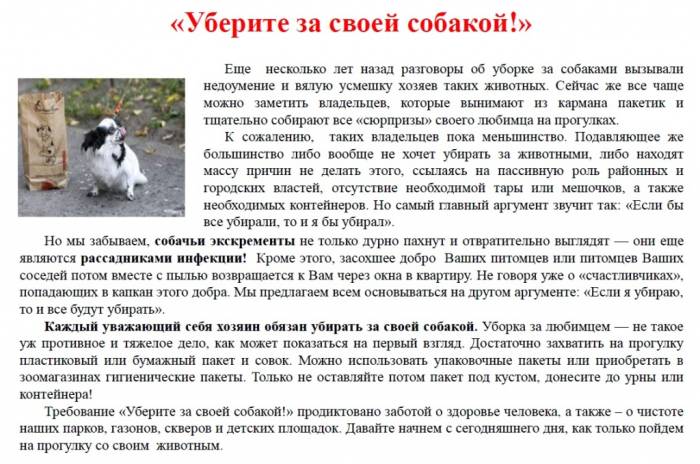 Почему собаки гадят где попало?