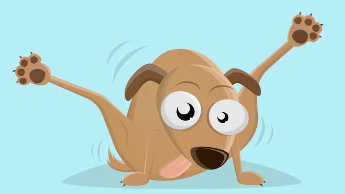 Собака ездит на попе: причины, симптомы и методы устранения