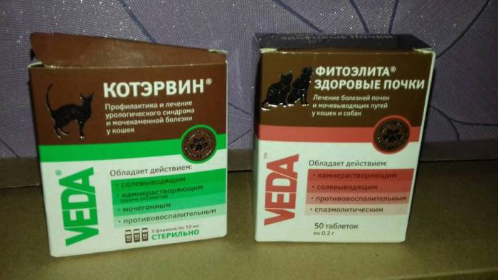 Витамины при онкологии: какие можно принимать при раке, а какие нельзя, витамины после химиотерапии | клиники «евроонко»