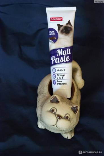 Чем кормить кошку для выведения шерсти из желудка