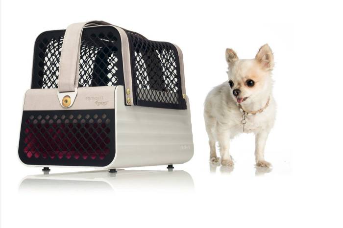 Рюкзаки для переноски собак и кошек — pet-trips