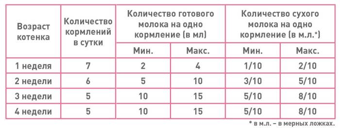 Сколько раз кормить котенка в 1, 2, 3, 4, 5 и 6 месяцев: норма кормления, описание правильного рациона питания