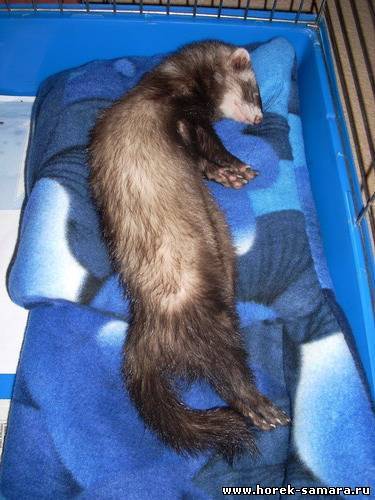 Диарея: причины, симптомы, методы лечения - клиника в уручье