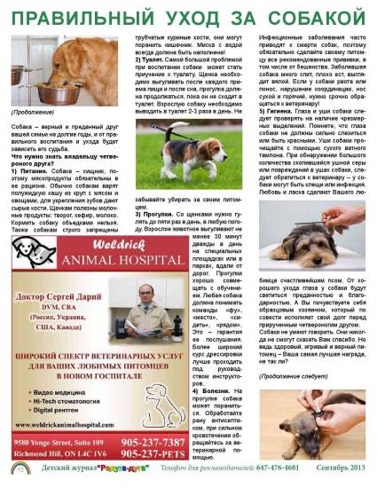 ᐉ щенок один дома - ➡ motildazoo.ru