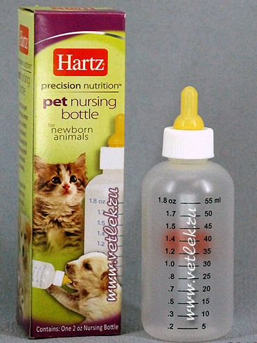 Котёнок без мамы: как помочь новорождённому
