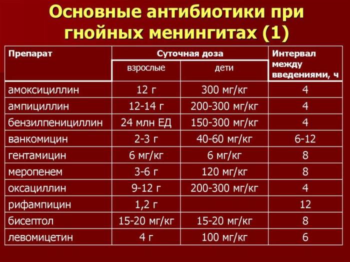 Антибиотики для кошек: широкого спектра действия, при инфекции