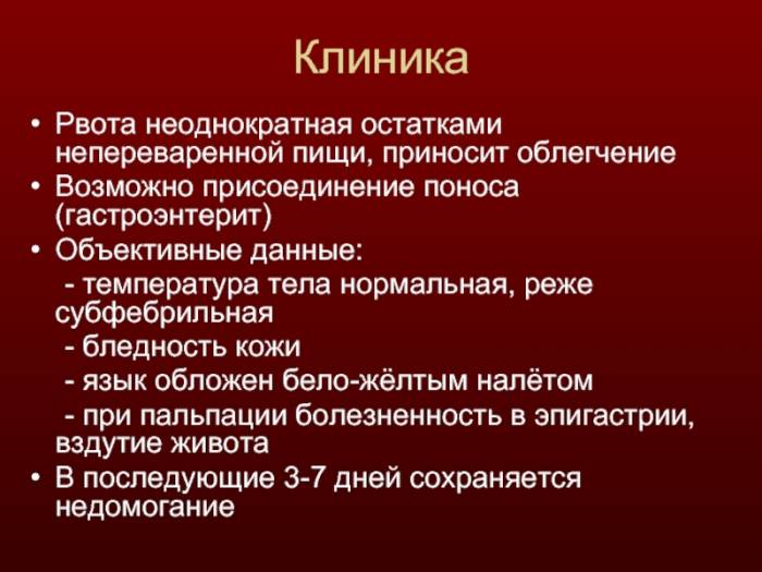 Почему собаку рвёт сухим кормом и что делать владельцу