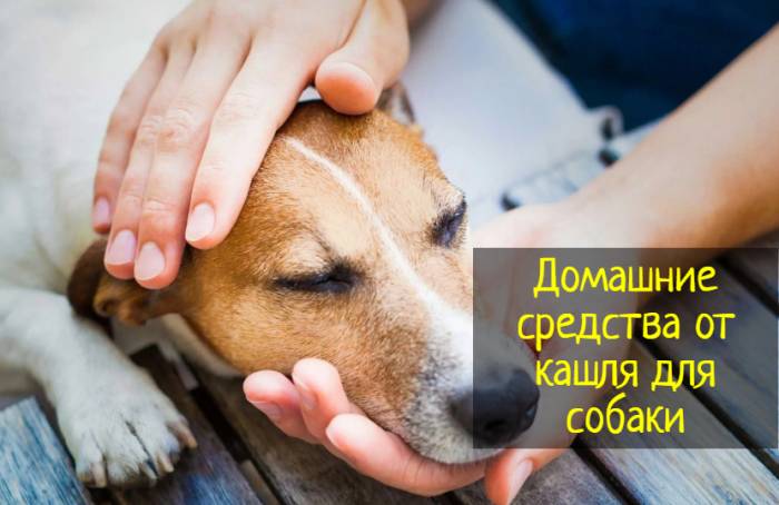 Хронический бронхит: симптомы и лечение, причины заболевания у взрослых и детей, как лечить осложнения