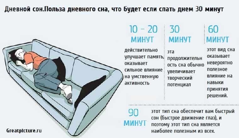 Как и сколько спят шиншиллы, сон с открытыми глазами и можно ли перевести питомца на ночной режим