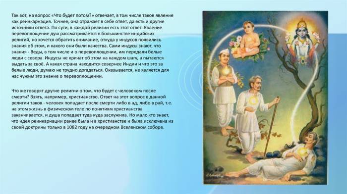 Что происходит с душой собак после смерти: реинкарнация, православие