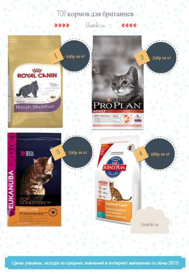 Чем кормить британских кошек- правильное кормление +видео