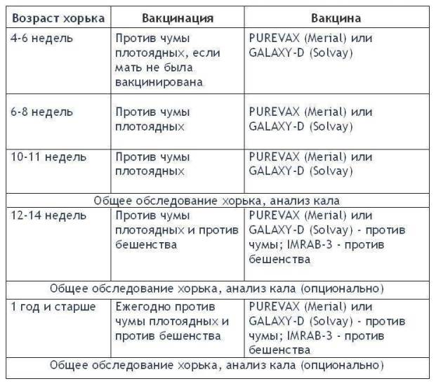 Вакцинация собак