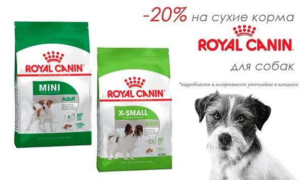 Роял Канин для собак мелких пород: для щенков и взрослых