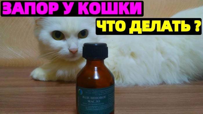 Какое слабительное выбрать при беременности в первом, втором и третьем триместре • центр гинекологии в санкт-петербурге