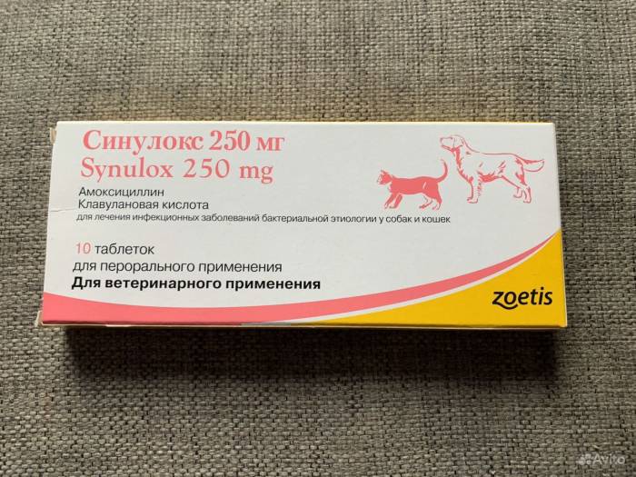 Синулокс для кошек - инструкция по применению, дозировка, способ применения