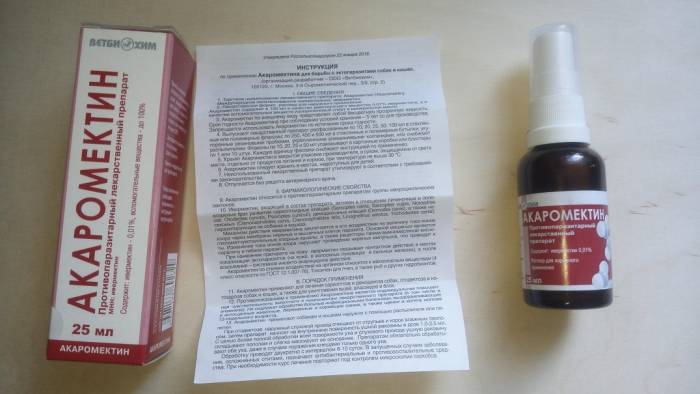 Как избавить кошку от ушных клещей: 15 шагов