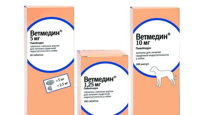 Сердечная недостаточность у собак: её симптомы и лечение, как лечить острую и хроническую в домашних условиях, признаки у крупных и мелких пород