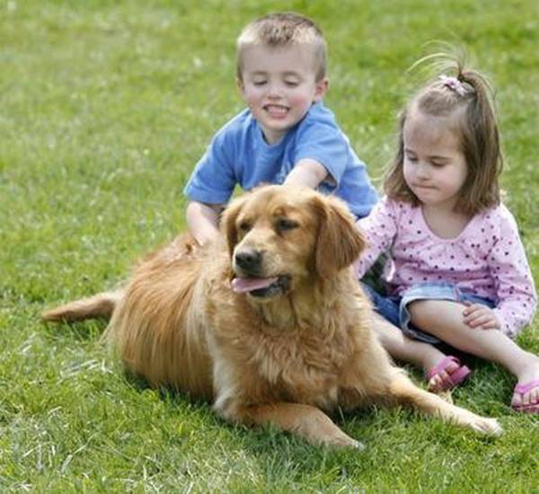 Топ-36 лучших собак для квартиры