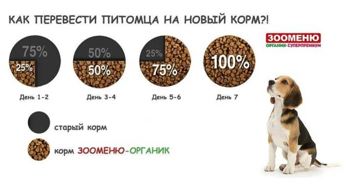 Как перевести собаку на сухой корм