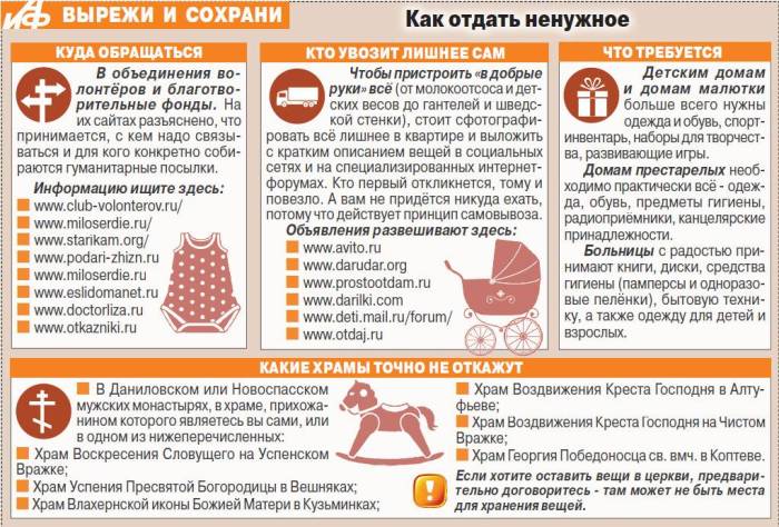 Куда отдать кошку, если она не нужна: приют и другие варианты