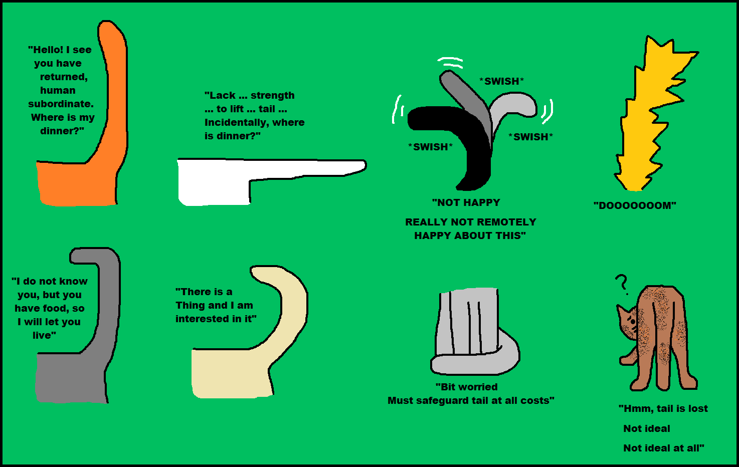 О чем "говорит" кошачий хвост: разбираем все положения - gafki.ru