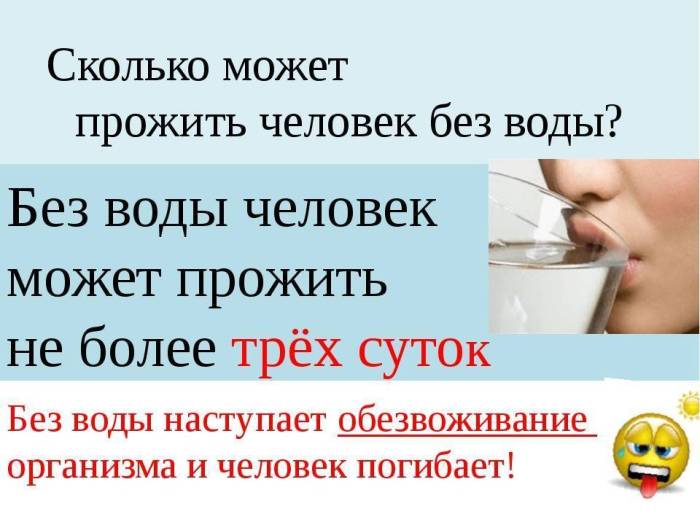 Вода и еда: сколько необходимо кошке