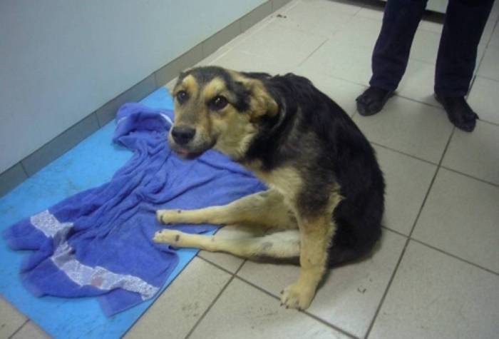 Защемление нерва