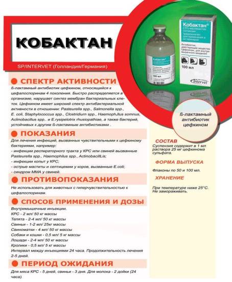 Кобактан для кошек и собак | инструкция по применению кобактана, дозы собаке и коту