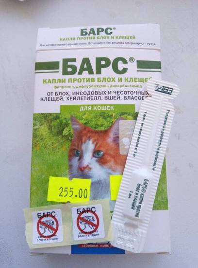 7 лучших капель от блох для кошек – рейтинг 2023 года