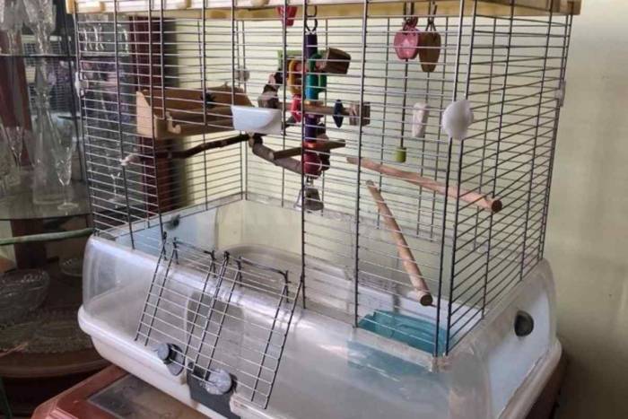 Клетка для попугаев (и не только) своими руками