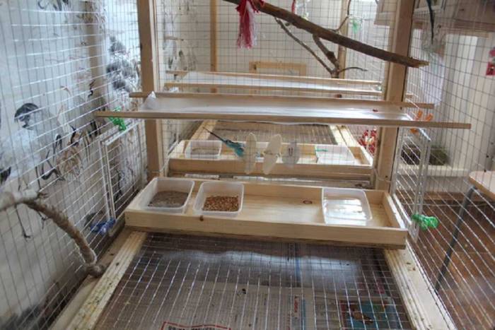 Делаем клетку для волнистого попугая своими руками