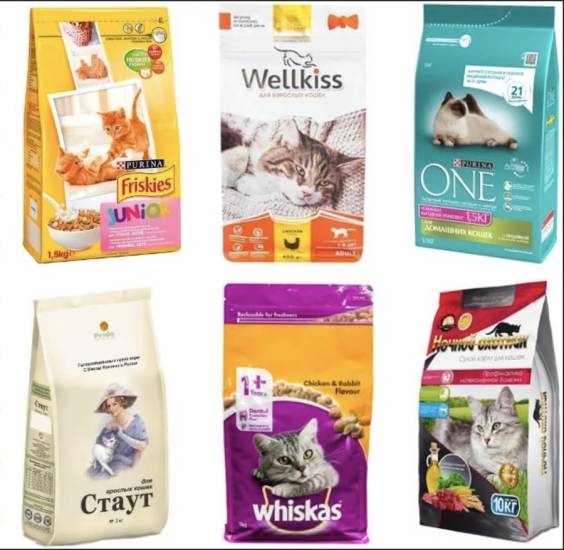 Холистик корм для кошек: рейтинг и отзывы о лучших кормах