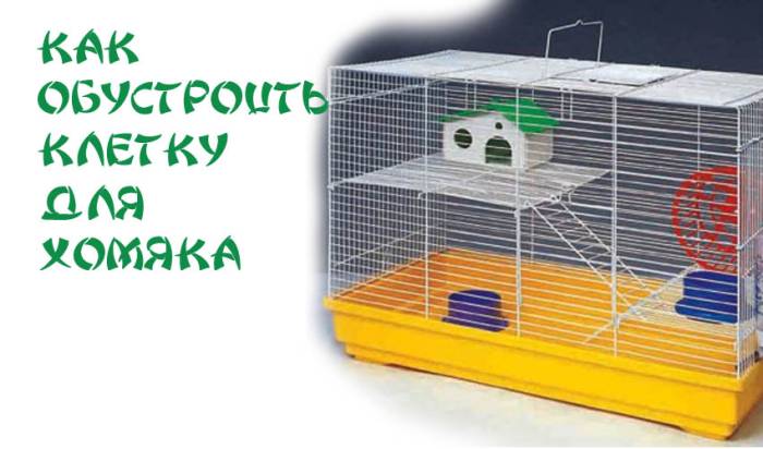 Клетка для хомяка: критерии выбора и самостоятельное изготовление