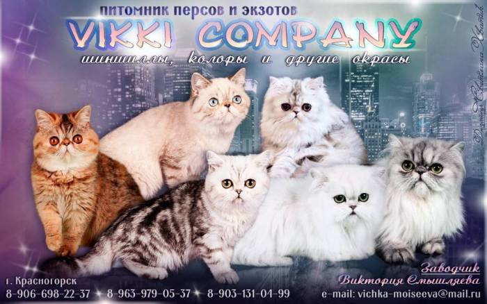 Питомник для собак: руководство по открытию