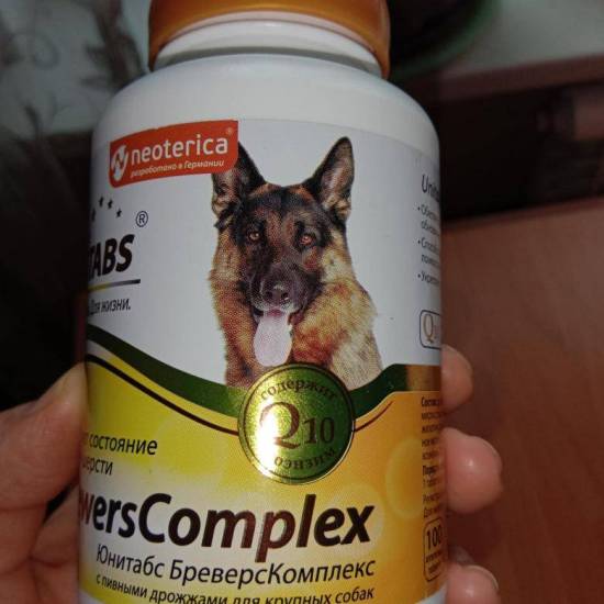 Как выбрать витамины для собак: взрослых, пожилых, мелких и крупных пород?