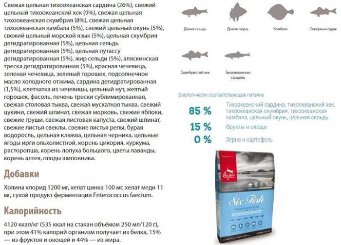 Ориджен для кошек: рекомендации по кормлению и отзывы ветеринаров