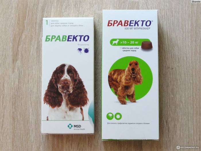 Средство от клещей для собак