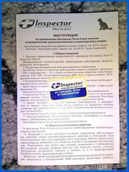 Особенности применения препарата «инспектор» для кошек
