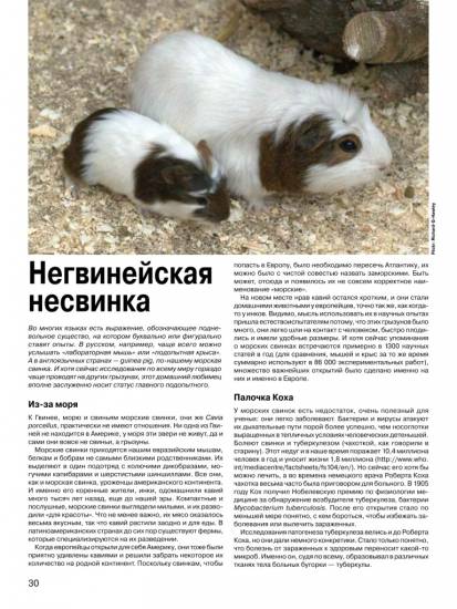 Почему морская свинка стучит зубами, что это значит?