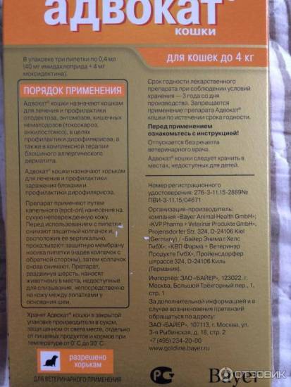 Адвокат капли для собак и кошек на холку: инструкция и отзывы