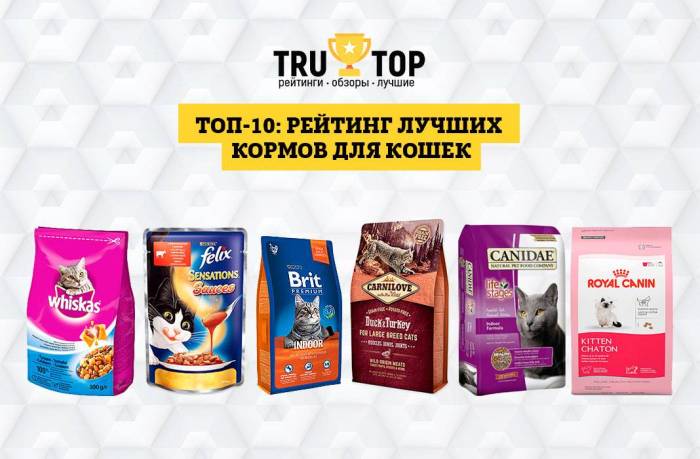 Рейтинг сухих и влажных кормов для кошек 2016
