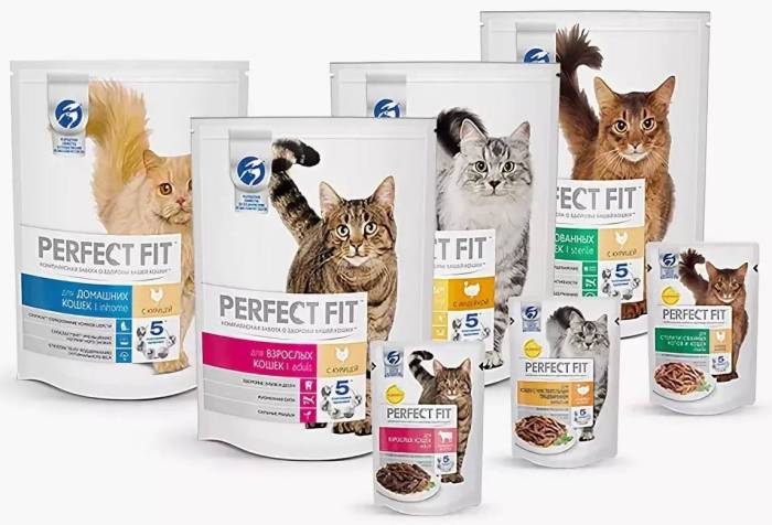 Perfect fit корм для кошек: разбор состава, отзыв ветеринара