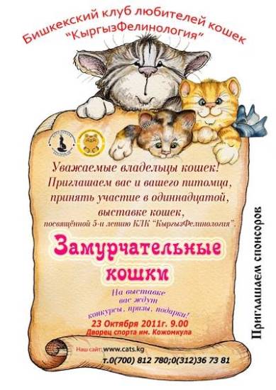 Как подружить в одной квартире кота и кошку: полезные советы