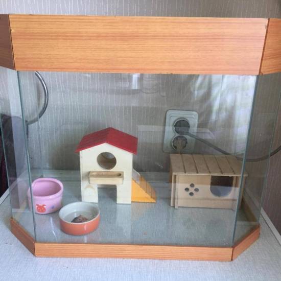 Наполнитель для хомяков | мои домашние питомцы