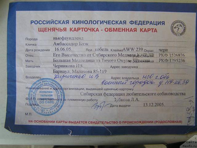 Документы для собаки – какие и зачем нужны